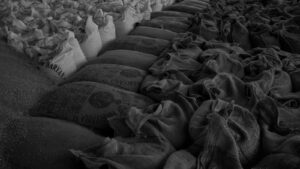 Neatly stacked sacks filled with grain